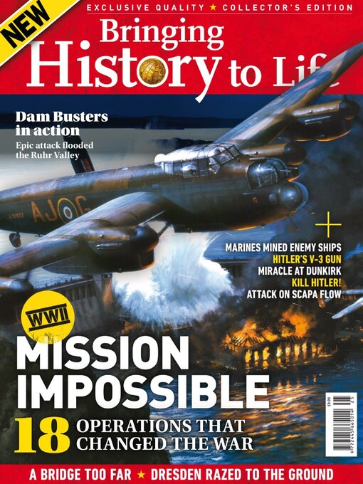 Cover image for Bringing History to Life